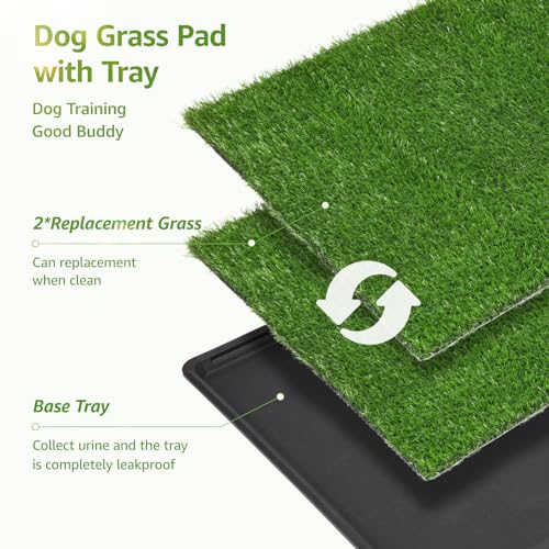 LOOBANI Dog Grass Pad with Tray - 41x26.8in for Potty Training | 2 Replacement Fake Grass Pads, Easy to Clean, Dog Litter Box, Balcony/Apartment/Indoor/Outdoor Use - size: Tray Potty 41*26.8inch