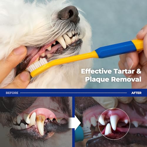 PETHROOM Pet Toothbrush for Cats & Dogs, 20 × 7 mm Standard Head (Medium) | Ultra-Soft Fine Bristles Gently Clean Teeth and Gumlines, Helping Remove Plaque, Ideal for Cats & Small to Medium Dogs - color: Medium
