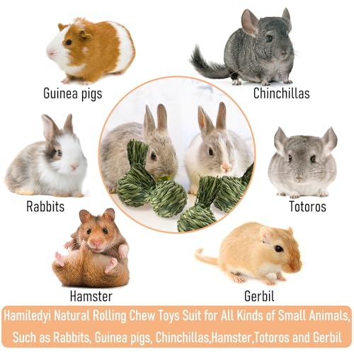 Hamiledyi Rabbit Chew Ball Bunny Timothy Grass Ball Natural Woven Chewing Toys Small Animal Activity Play Balls Chew Toys for Bunny Rabbits Hamster Guinea Pigs Chinchilla Gerbils 4PCS - style: Apple 4 PCS