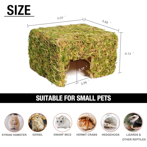 Hamster Hideout - Large, Natural Moss, Handcrafted for Syrian Hamsters, Rats & Guinea Pigs, Hermit Crab,Hedgehogs,Lizards & Other Reptiles（Square, Large） - size: Square, Large