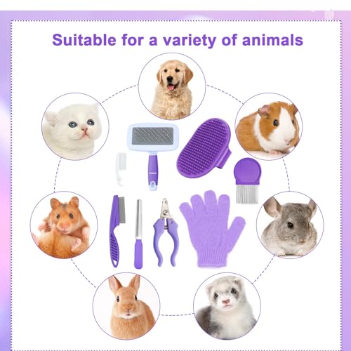 VCZONE 8 Pcs Small Animal Grooming Kit, Rabbit Grooming Kit with Pet Nail Clipper and File, Flea Comb, Pet Shampoo Bath Brush, Pet Shedding Slicker Brush, Bath Massage Glove, Cleaning Comb (Purple) - color: Purple