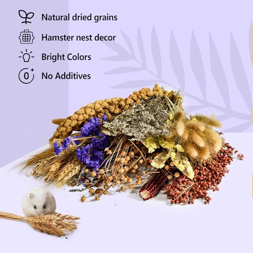 Natural Hamster Flower & Herb Habitat Deocr, Edible Hamster Sprays Flowers Bedding Mate, Hamsters Cage Enrichment Decoration Accessories for Dwarf Syrian Hamster Gerbil Mice Degus