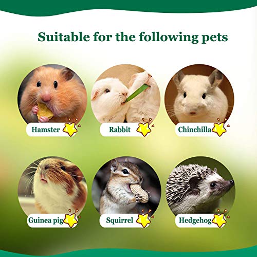 BWOGUE 100g Pet Snacks, Bamboo Chews for Rabbits, Sweet Bamboo Chew Sticks | About10-14 Sticks, 3.94 in Bamboo Sticks for Rabbits, Rabbit Chew Toys, Squirrels, Guinea Pigs, Chinchillas & Hamsters - size: 1 Count (Pack of 1)