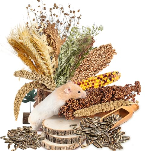 Natural Ear of Grain Flower&Herb Bedding Mate Habitat Decor, Adding Fun Hamster Accessories for Hamsters Gerbils Lemming - color: Miscellaneous grain crops
