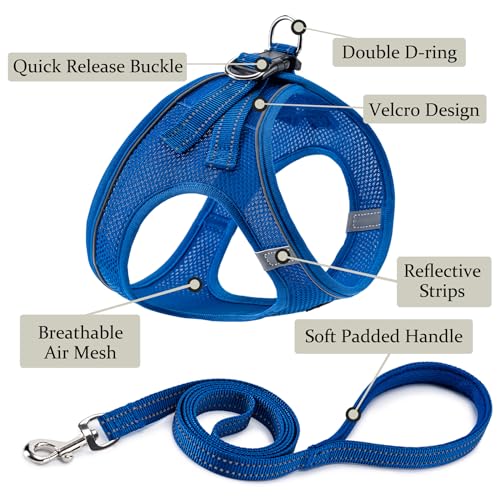 Dog Harness with Leash Set, Step-in Adjustable Puppy Pet Vest, Blue XXS | Lightweight Breathable Air Mesh, Night Safety Reflective, No Pull Puppy Vest Harnesses for Small Medium Large Dogs, Cats - color: Blue, size: XXS(Chest:10"-12")
