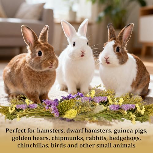 Sukh 42Pcs Hamster Sprays Natural - Sprays & Forage for Small Animals | Chew Herbs for Syrian Dwarf Hamsters & Guinea Pigs, Habitat Dry Flowers Decor, Hideout Enrichment, Cage & Bedding Accessories