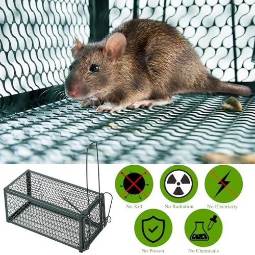 Qualirey 2 Pcs Humane Rat Trap Chipmunk Rodent Mouse Squirrel Trap,Green | 9.1 x 4.5 x 4.5 Inches Mouse Voles Hamsters Cage Rat Cage for Mice Easy to Catch and Release - color: Green