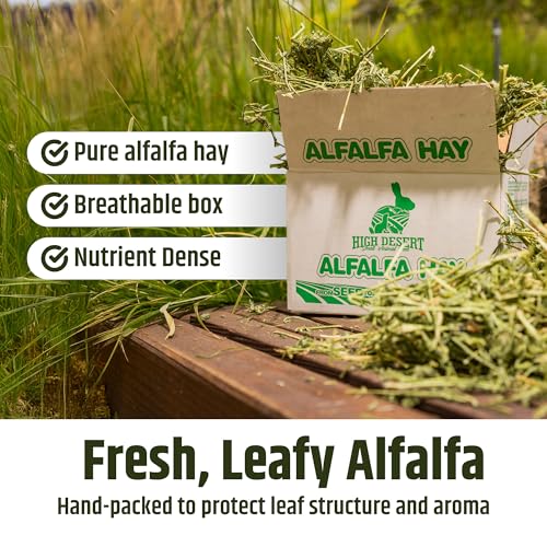 High Desert Alfalfa Hay for Young Rabbits and Guinea Pigs, 10 lb Box | Protein Rich Soft Leaf Forage, Ideal For Growing Kits And Nursing Mothers, Great Calcium Source, Hand Packed, Low Dust - size: 10 Pound (Pack of 1)