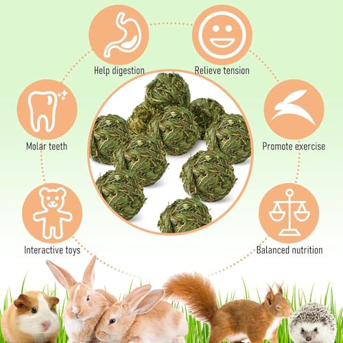 Hamiledyi 10 Pcs Rabbit Chew Ball Timothy Grass Ball Small Animal Activity Play Chew Toys Teeth Grinding for Bunny Rabbits Hamster Guinea Pigs Gerbils Chinchillas - style: Round 10 PCS