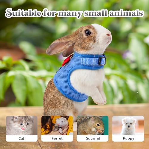 Breathable Bunny Harness and Leash Set with Cute Bow, Blue L | Adjustable Vest, Escape Proof, Quick-Release Buckle, for Rabbits, Kittens, Ferrets & Small Pets, Walking & Outdoor - color: Blue, size: L