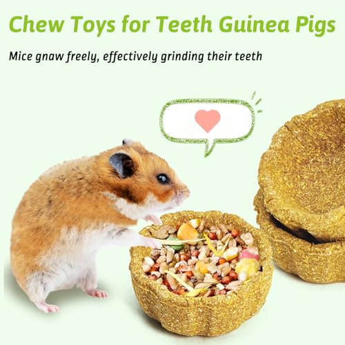 BNOSDM 6 Pcs Hamster Edible Premium Timothy Hay Chew Bowl Pumpkin Blend Rabbit Treats for Teeth Chewing Chinchilla Chew & Decor Toys for Syrian Dwarf Hamsters Gerbils Mice - color: 6PCS-Timothy & Pumpkin