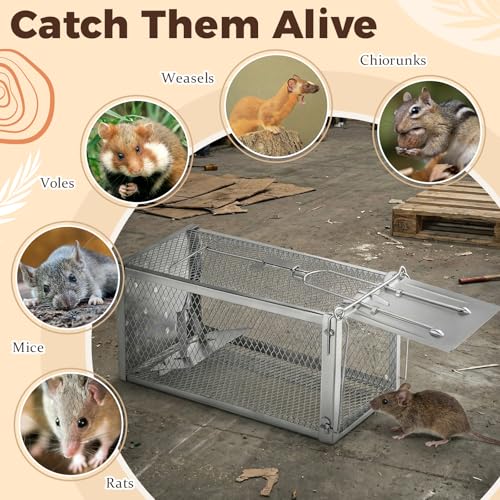 2 Pack Humane Rat Trap Cage, Live Chipmunk Rodent Cage Indoor Outdoor | Humane Rat Trap Cage Reusable Metal Mouse Trap for Rats, Mice