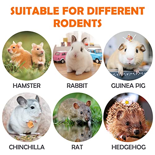 Sofier 28Pcs Timothy Hay Treats Rabbit Toys Bunny Toys Guinea Pig Natural Handmade Treats and Chews for Small Animals Hamster Chinchilla Rat Gerbil
