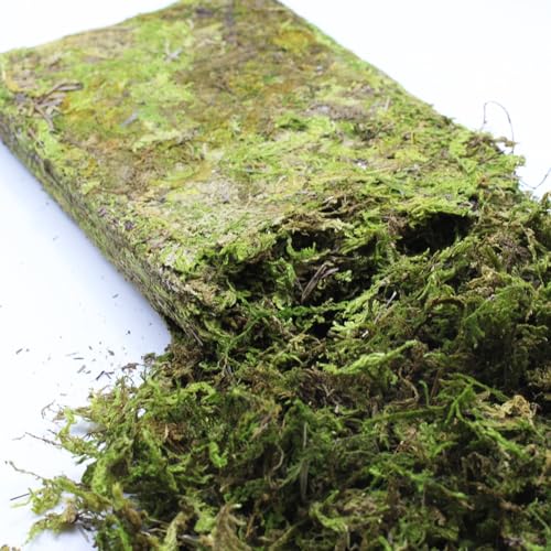 DoubleWood Natural Forest Moss for Small Pets, 5.2 oz Artificial Moss, Decorative Bedding and Nesting Material for Hamsters, Gerbils, Mice, Degus or Other Small Animal (5.2 oz)