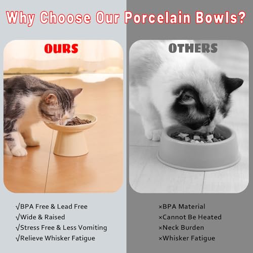 Wide Shallow 6.1" Raised Cat Bowls, Ceramic Elevated Food Plate for Flat Faced Cats and Small Dogs, Porcelain Feeder Bowl, Stress Free, Protect Cat’s Spine, Cream - color: Cream-Shallow