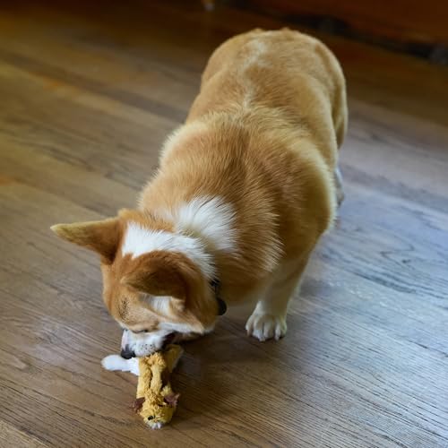 SPOT Skinneeez Flying Squirrel 14 Inch Stuffing-Free Plush Squeaky Dog Toy – Soft Tug-of-War Toy for Small and Medium Dogs – Mess-Free Interactive Chew Toy for Moderate Chewers - style: Mini Flying Squirrel