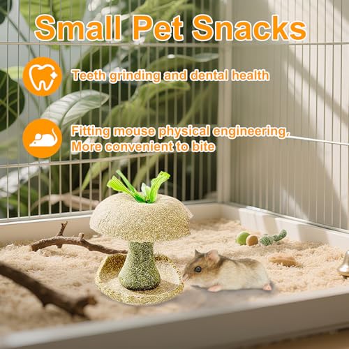 Hamster Chew Toys, Bunny Chew Bowl, Natural Chew Toys for Hamster, Rabbit, Guinea Pig, Chinchilla