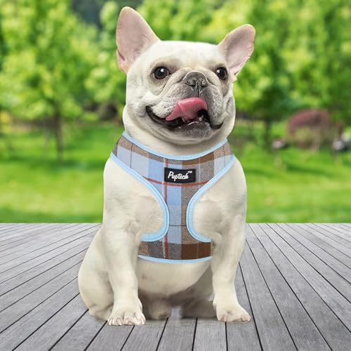 PUPTECK Soft Mesh Dog Harness and Leash Set Pet Puppy Cat Comfort Padded Vest No Pull Harnesses, Blue&Brown, S - color: Blue&Brown, size: S (NECK: 12", CHEST: 14"-18")