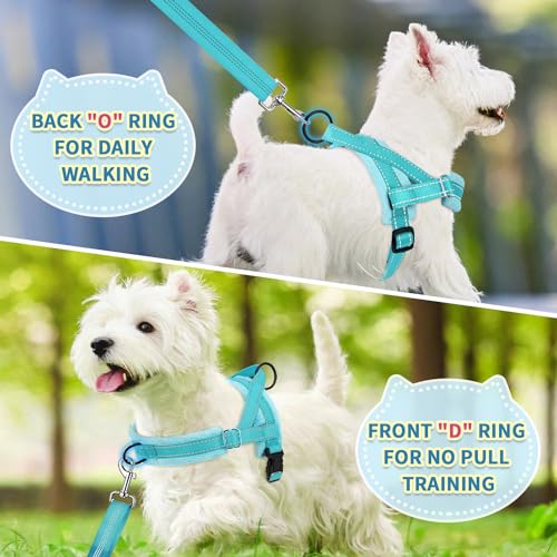 SlowTon No Pull Small Dog Harness and Leash Set with Front Clip | Soft Padded, Neck & Chest Adjustable, Lightweight, Anti-Twist, Puppy Vest Harness Pet Lead Combo for Small Medium Dog, TL S - color: Teal, size: Small
