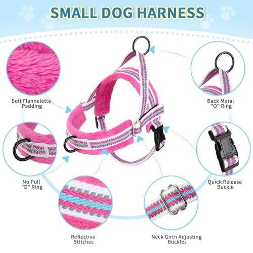 Lukovee Small Dog Harness and Leash Set, No Pull Soft Padded Vest | Both Neck & Chest Adjustable, Reflective, Puppy Harness with 4ft Lightweight Anti-Twist Dog Leash for Small Dogs (Fuschia,XS) - color: Fuchsia - with Stripe, size: XS ( Chest 14'' ~ 18'')
