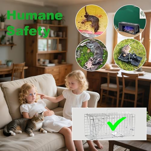 Live Squirrel Trap, Foldable Heavy Duty Humane Animal Cage Trap, Large Rat Trap Cage Catch and Release, Rodent Rabbit Trap for Indoor and Outdoor - 17” L x 7.9” W x 7.5” H