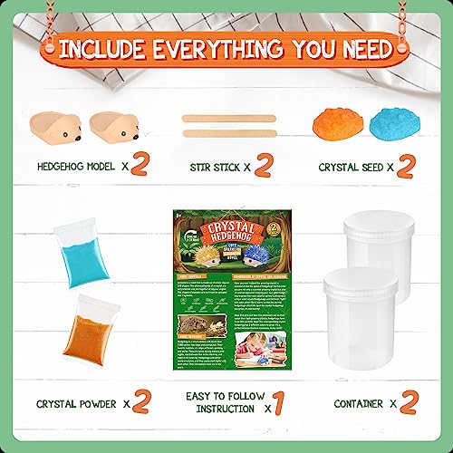 Crystal Growing Kit - 2 Vibrant Hedgehogs Fast 24H, STEM Gift for Kids 6-12 | Grow 2 crystal hedgehogs in 24H. STEM science kit, educational DIY toy. Great birthday gift for boys & girls ages 7-10+ - color: 2 Hedgehog Crystal
