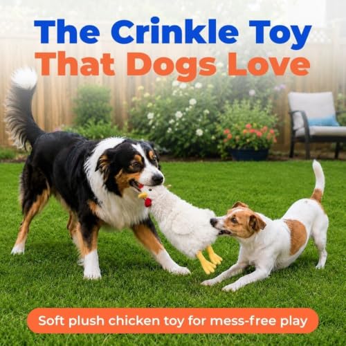 Best Pet Supplies Interactive Squeaky Dog Toy - Crinkle Chicken, Beige | Stuffing Free Body, Soft, Squeaks & Crinkles, No Mess, Perfect for Moderate Chewers, Toss and Fetch Play - color: Crinkle Chicken (Beige), size: Large