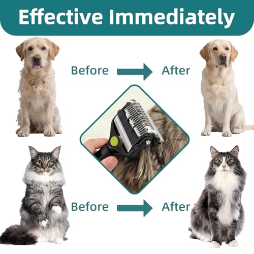 3-IN-1 Pet Grooming Tool - Undercoat Rake, Dematting Comb & Deshedding Brush for Cats, Dogs, Horses - Removes Mats, Tangles & Loose Fur, Reduces Shedding & Prevents Hair Mess (Green) - color: Green