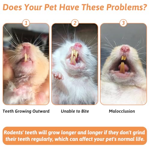 Fhiny 6 PCS Rabbit Chew Toys, Natural Pumpkin Carrot Timothy Grass Guinea Pig Chew Toys for Teeth Bunny Molar Snacks Dental Care Hamster Treats for Bunny Guinea Pig Chinchilla Hamster Gerbil - size: 6 PCS