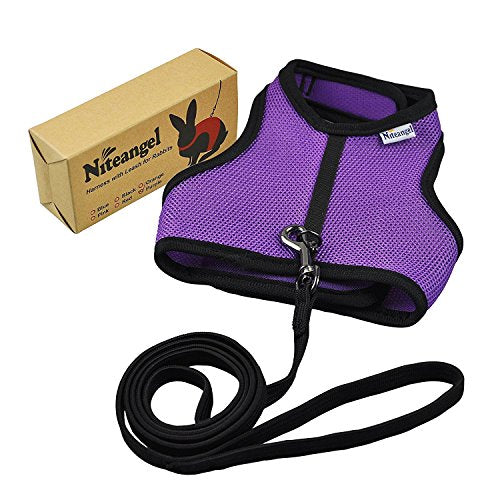 Niteangel Adjustable Soft Harness with Elastic Leash for Rabbits (M, Purple) - color: Purple, size: M