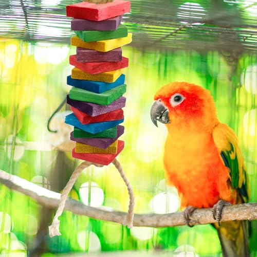 50 Pcs (Mixed Colo) Wood Blocks Bird Parrot Chewing Toys Natural Bird Toys Large Parrot Toys DIY core Accessories for Parrot Playing and Chewing Toys