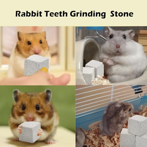 PINVNBY 9 Pcs Lava Blocks for Chinchillas,Hamster Chew Stones Square Mineral Calcium Bunny Teeth Pumice Grinding Chew Toys for Guinea Pig Rat Rodent - size: 【9 PCS】