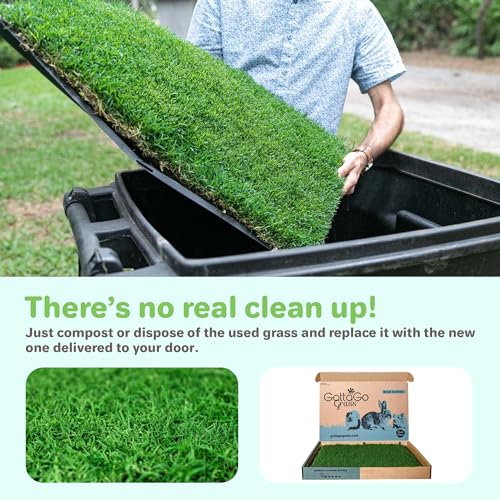 Gotta Go Grass for Small Animals – Natural Real Grass Bedding & Pet Resting Pad, Grass Potty Pad for Rabbits, Guinea Pigs, Hamsters, and Small Pets, Odor Absorbent Grass Mat (Refill 2-Pack 16" x 24") - size: Refill 2- Pack