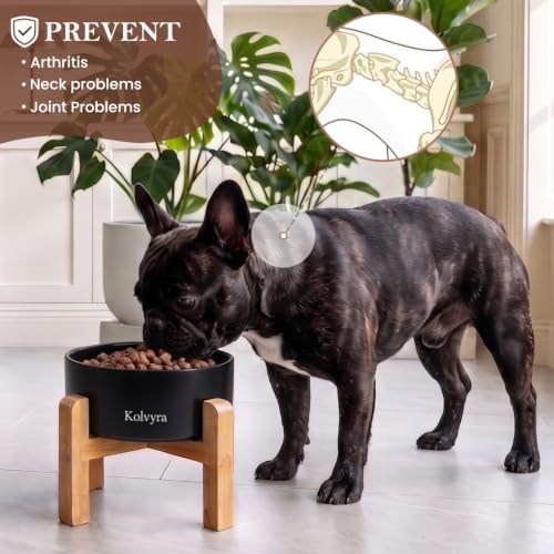 6" Elevated Ceramic Dog Bowl, Anti-Vomiting 23oz for Small Dogs | Premium Food-safe Ceramic with Anti-slip Wood Stand,Dishwasher Safe,Ergonomic Height Relieves Neck Strain,Black - color: Black, size: 6 in