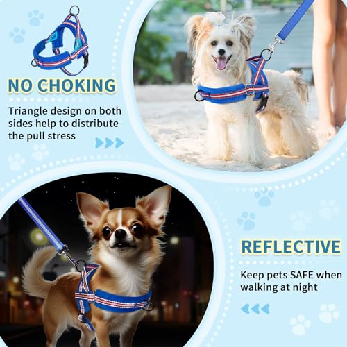 SlowTon No Pull Small Dog Harness and Leash Set with Front Clip | Soft Padded, Neck & Chest Adjustable, Lightweight, Anti-Twist, Puppy Vest Harness Pet Lead Combo for Small Medium Dog DBL XXS - color: Dark Blue, size: XX-Small