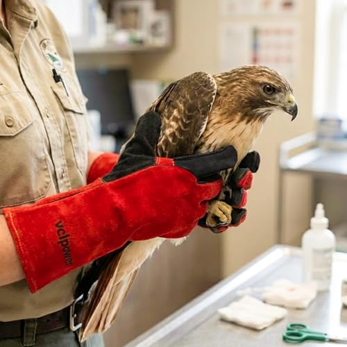 vclpower Animal Handling Gloves Size L Fit for Men & Large Hands Bite Proof Double Leather Reinforced Padding Dog,Cat Scratch,Bird Handling Falconry Gloves Grabbing Reptile Squirrel Snake Bite 16in | Size L Fit for Men & Large Hands - size: L
