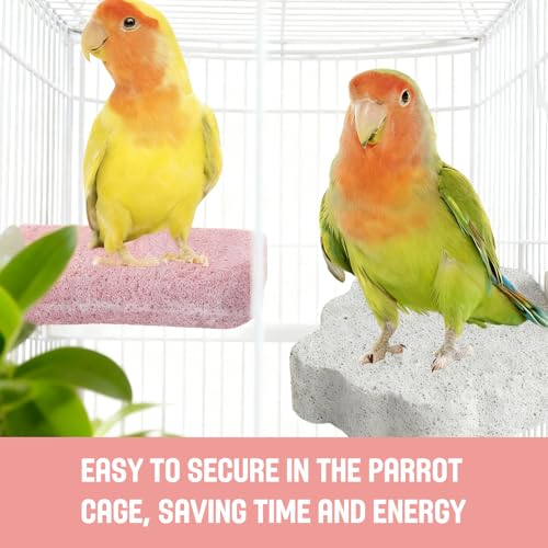 4PCS Bird Beak Grinding Stone,Bird Parrot Cage Perch Stand Platform Foot Claws Trimmer Chewing Toys,Washable Cage Furniture for Small Medium Bird,Budgies, Parakeets, Cockatiels, Conures(Pumice)