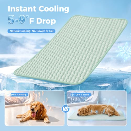 Lekereise Cooling Mat for Dogs - Self-Dog Cooling Mat Indoor, Pressure-Activated Cold Blanket for Sofa, Floor & Car, Crate, 54'' x 82'', Green - size: M(54"x 82"x 0.79")