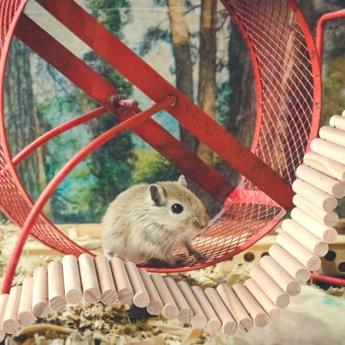 Pet Hamster Ladder Bridge Bendable Climbing Toy Suspension Ladder for Small Pets Gerbil Mice Chinchilla Habitat Décor(30cm-6&7.5CM Fences) - size: 30cm, style: 6&7.5CM fences