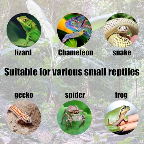 9pcs Crested Gecko Tank Accessories:Food Dish& Feeding Cups - Gecko Feeder &Corner Water Bowl for Reptile Tanks