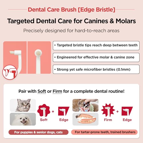JAYU PET Dental Care Brush (Edge Bristles) 3ea - Micro Round Head Dog Toothbrush, Cat Toothbrush, Dental Care, Perfect for Kitten & Small Breed with End-tuft Diagonal-Shaped Bristle & Easy Grip Handle - color: Edge Bristles, size: 1 Count (Pack of 3)