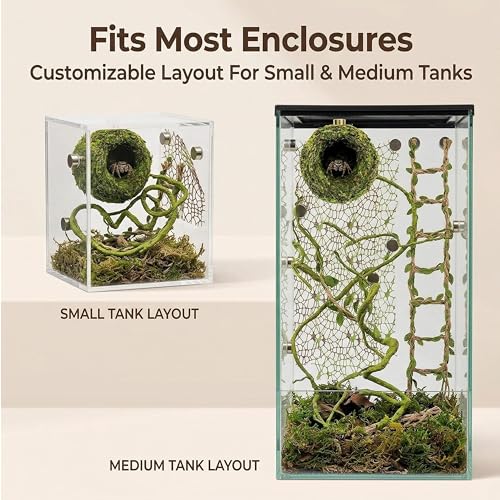 Jumping Spider Enclosure Accessories Kit, Magnetic Moss Ball Hideout, 2 Mesh Nets & Leafy Rope Ladder, 3D Forest Canopy Habitat with 5 Magnets for Jumping Spiders Fun Enclosure Accessories