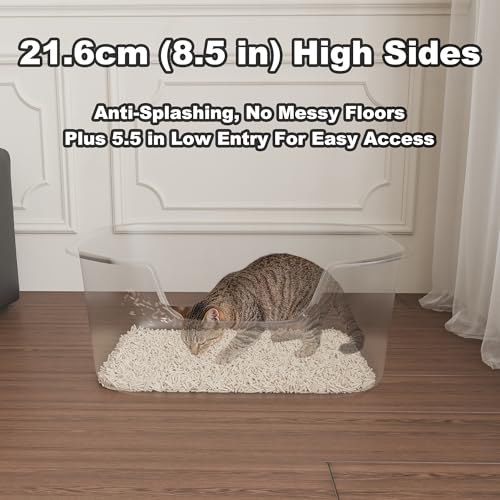Large Open Cat Litter Box with High Sides, Anti-Splashing for Indoor Cats, Low Entry for Kittens & Elderly Cats, Spacious Litter Pan, Tool-Free Assembly(21.7” * 16.5” * 8.5” Grey) - color: Grey