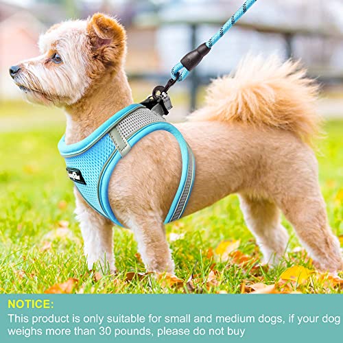 haapaw Dog Harness with Leash Set, No Pull Adjustable Reflective Step-in Puppy Harness with Thickened Padded Vest for Extra-Small/Small Medium Dogs - color: Grey / Blue, size: S