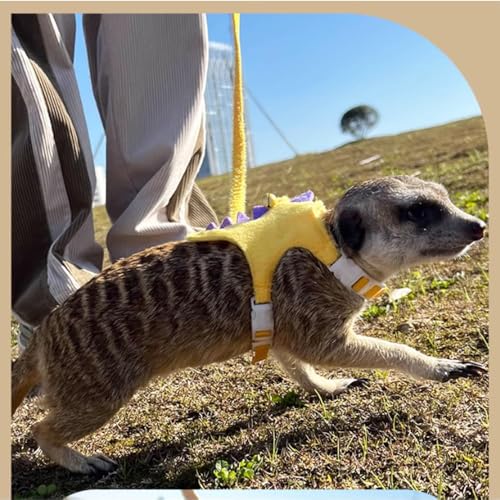 Ferret Harness and Leash Set Small Animals Vest Harness with Safe bell Dinosaur Shaped Walking clothes for Baby Rabbit Guinea pig Teacup Chihuahua Mouse and other small pet (Yellow) - color: Yellow