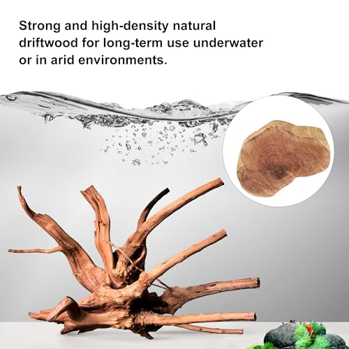Natural Large Driftwood for Aquarium Decor Fish Tank Decor Reptile Decor | Assorted Driftwood Branch, Natural Driftwood for Aquascaping and Reptile Decor - size: Spiderwood 13 to 17 Inch(Pack of 1)