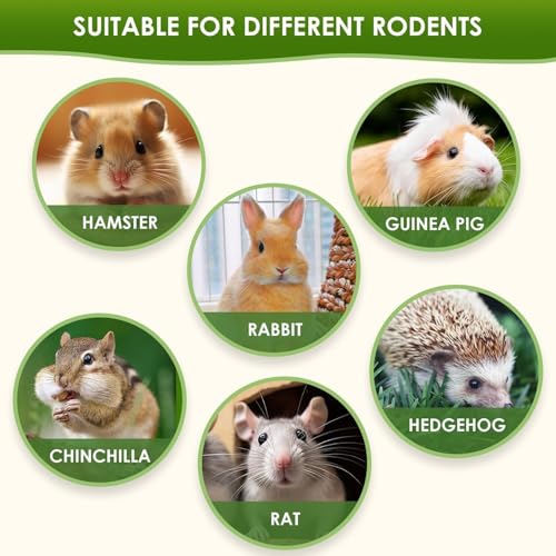 20g Okra Freeze-Dried Hamster Snack & Treats Toy - Small Animal Natural Treat for Dwarf Syrian Robo Hamsters Gerbils Mice Lemmings Degus or Other Small-Sized Pets