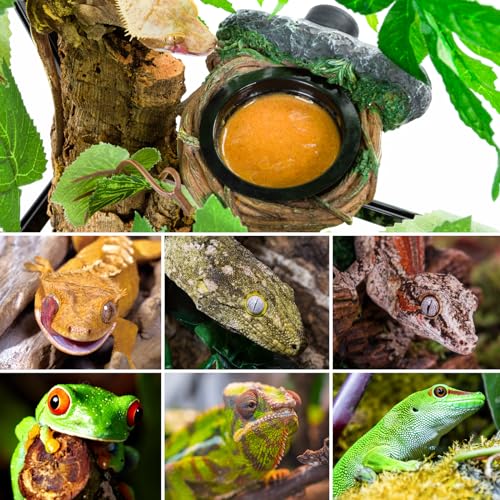 REPTI ZOO Magnetic Reptile Feeding Ledge, Gecko Feeder Ledge with 2PCS Cups, Hollow Vine Food Dish, Reptile Water Bowl for Bearded Dragon Lizard Snake, Terrarium Tank Accessories - size: Magnetic- Single Feeder