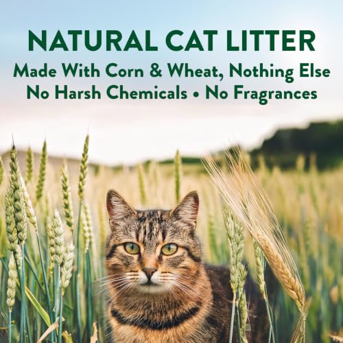 ARM & Hammer Plant Power Plant-Based Clumping Cat Litter, Unscented 15 Lbs | Lightweight, Multi-Cat Homes, Highly Absorbent Natural Grain Formula, 14-Day Odor Control