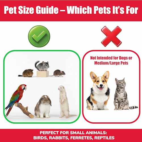 SPOT Stainless Steel Mini Coop Cup with Wire Hooks – 10 oz Small Pet Food & Water Bowl, Rust-Resistant & Easy to Clean, Attaches to Cages for Birds, Parrots, Rabbits, Ferrets, Rats & Small Pets